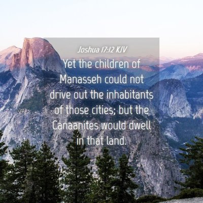 Picture 04 - Joshua 17:12 KJV - Yet the children of Manasseh could not drive out - Bible Verse Picture