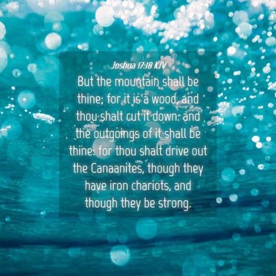 Picture 04 - Joshua 17:18 KJV - But the mountain shall be thine; for it is a - Bible Verse Picture