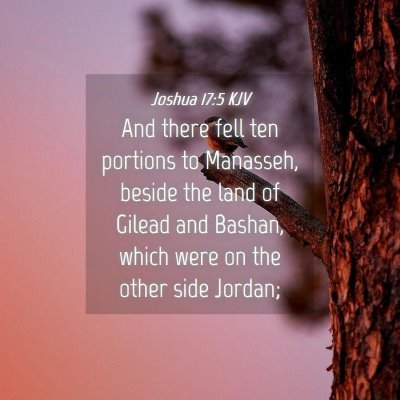 Picture 04 - Joshua 17:5 KJV - And there fell ten portions to Manasseh, beside - Bible Verse Picture