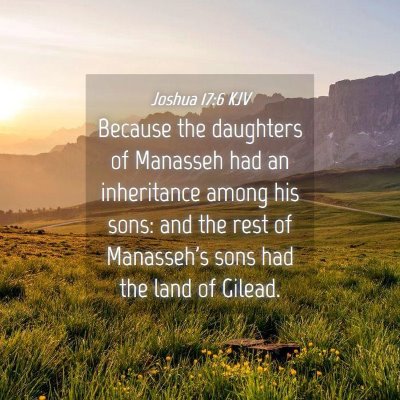 Picture 04 - Joshua 17:6 KJV - Because the daughters of Manasseh had an - Bible Verse Picture