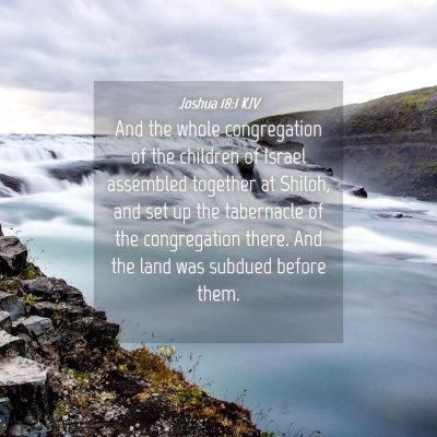 Picture 04 - Joshua 18:1 KJV - And the whole congregation of the children of - Bible Verse Picture