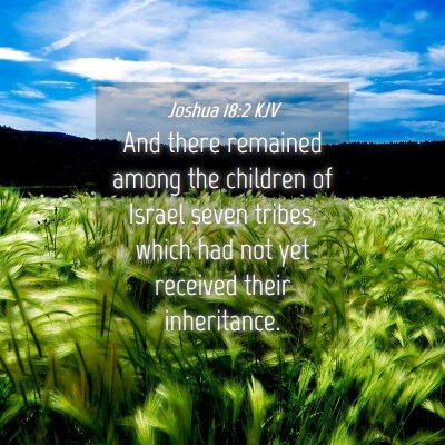 Picture 04 - Joshua 18:2 KJV - And there remained among the children of Israel - Bible Verse Picture