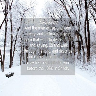 Picture 04 - Joshua 18:8 KJV - And the men arose, and went away: and Joshua - Bible Verse Picture