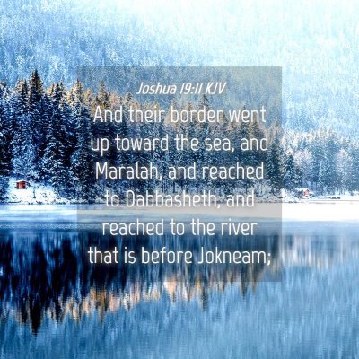 Picture 04 - Joshua 19:11 KJV - And their border went up toward the sea, and - Bible Verse Picture