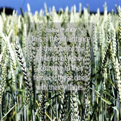Picture 04 - Joshua 19:31 KJV - This is the inheritance of the tribe of the - Bible Verse Picture