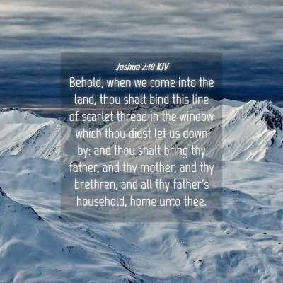 Picture 04 - Joshua 2:18 KJV - Behold, when we come into the land, thou shalt - Bible Verse Picture