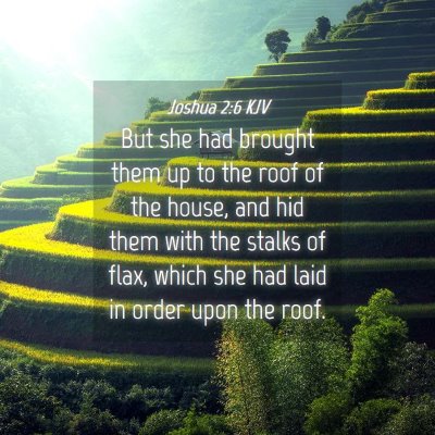 Picture 04 - Joshua 2:6 KJV - But she had brought them up to the roof of the - Bible Verse Picture