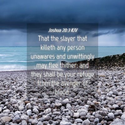 Picture 04 - Joshua 20:3 KJV - That the slayer that killeth any person unawares - Bible Verse Picture