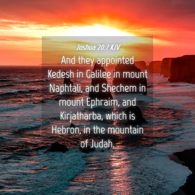 Picture 04 - Joshua 20:7 KJV - And they appointed Kedesh in Galilee in mount - Bible Verse Picture