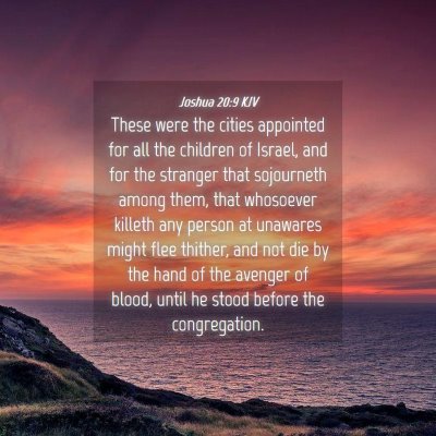 Picture 04 - Joshua 20:9 KJV - These were the cities appointed for all the - Bible Verse Picture