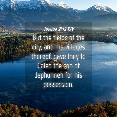 Picture 04 - Joshua 21:12 KJV - But the fields of the city, and the villages - Bible Verse Picture