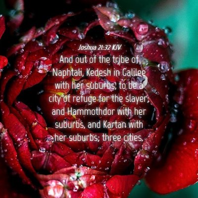 Picture 04 - Joshua 21:32 KJV - And out of the tribe of Naphtali, Kedesh in - Bible Verse Picture