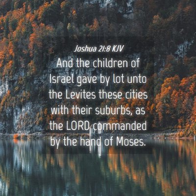 Picture 04 - Joshua 21:8 KJV - And the children of Israel gave by lot unto the - Bible Verse Picture