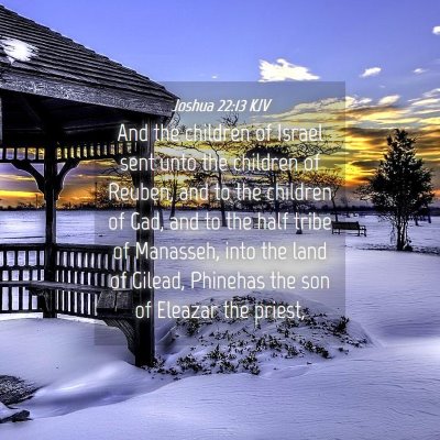 Picture 04 - Joshua 22:13 KJV - And the children of Israel sent unto the children - Bible Verse Picture