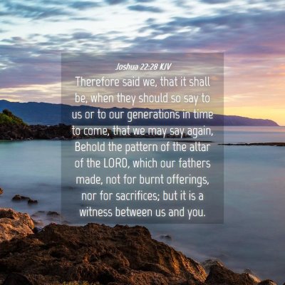 Picture 04 - Joshua 22:28 KJV - Therefore said we, that it shall be, when they - Bible Verse Picture
