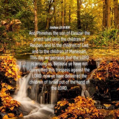 Picture 04 - Joshua 22:31 KJV - And Phinehas the son of Eleazar the priest said - Bible Verse Picture