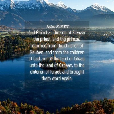 Picture 04 - Joshua 22:32 KJV - And Phinehas the son of Eleazar the priest, and - Bible Verse Picture