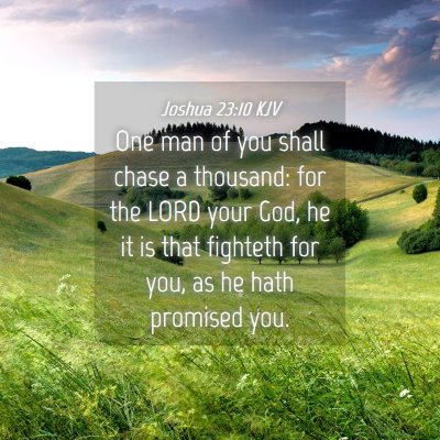 Picture 04 - Joshua 23:10 KJV - One man of you shall chase a thousand: for the - Bible Verse Picture
