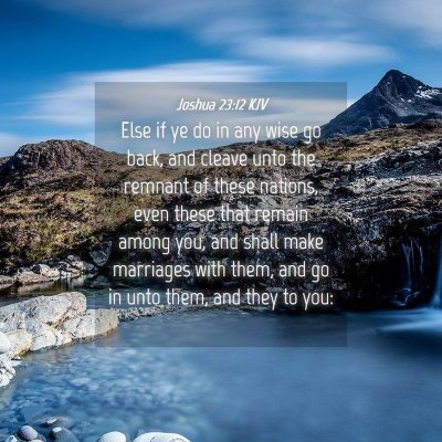 Picture 04 - Joshua 23:12 KJV - Else if ye do in any wise go back, and cleave - Bible Verse Picture