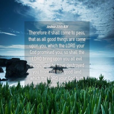 Picture 04 - Joshua 23:15 KJV - Therefore it shall come to pass, that as all good - Bible Verse Picture