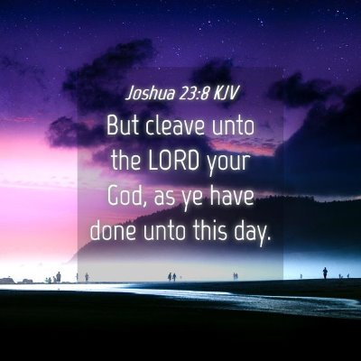 Picture 04 - Joshua 23:8 KJV - But cleave unto the LORD your God, as ye have - Bible Verse Picture