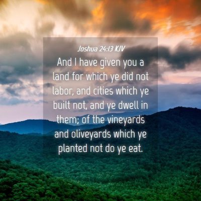 Picture 04 - Joshua 24:13 KJV - And I have given you a land for which ye did not - Bible Verse Picture