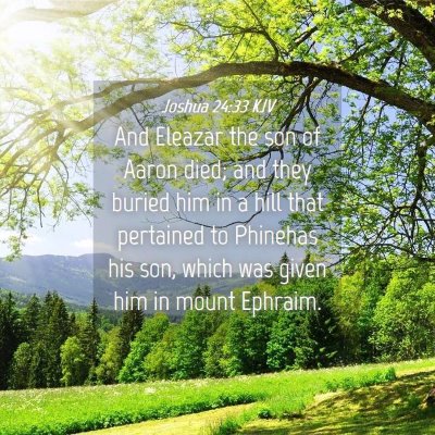 Picture 04 - Joshua 24:33 KJV - And Eleazar the son of Aaron died; and they - Bible Verse Picture