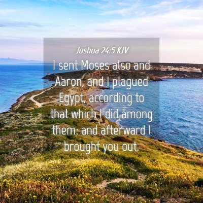 Picture 04 - Joshua 24:5 KJV - I sent Moses also and Aaron, and I plagued Egypt, - Bible Verse Picture