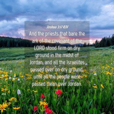 Picture 04 - Joshua 3:17 KJV - And the priests that bare the ark of the covenant - Bible Verse Picture