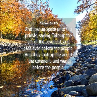 Picture 04 - Joshua 3:6 KJV - And Joshua spake unto the priests, saying, Take - Bible Verse Picture