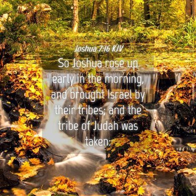 Picture 04 - Joshua 7:16 KJV - So Joshua rose up early in the morning, and - Bible Verse Picture