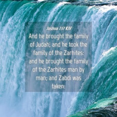 Picture 04 - Joshua 7:17 KJV - And he brought the family of Judah; and he took - Bible Verse Picture