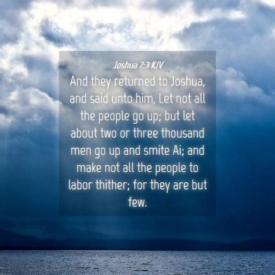 Picture 04 - Joshua 7:3 KJV - And they returned to Joshua, and said unto him, - Bible Verse Picture