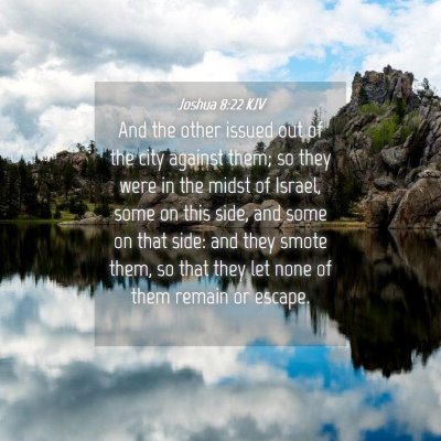 Picture 04 - Joshua 8:22 KJV - And the other issued out of the city against - Bible Verse Picture