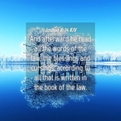 Picture 04 - Joshua 8:34 KJV - And afterward he read all the words of the law, - Bible Verse Picture