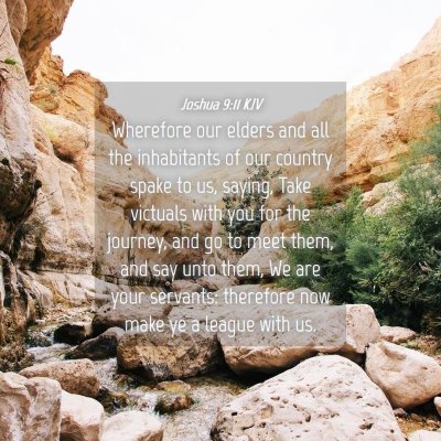 Picture 04 - Joshua 9:11 KJV - Wherefore our elders and all the inhabitants of - Bible Verse Picture