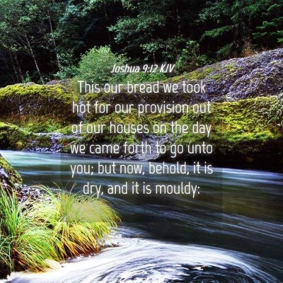 Picture 04 - Joshua 9:12 KJV - This our bread we took hot for our provision out - Bible Verse Picture