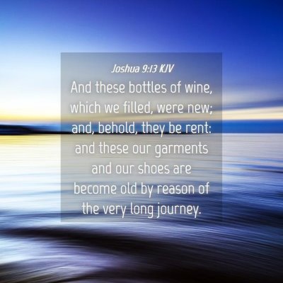 Picture 04 - Joshua 9:13 KJV - And these bottles of wine, which we filled, were - Bible Verse Picture