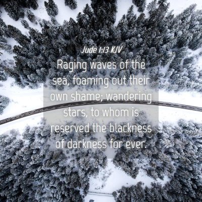 Picture 04 - Jude 1:13 KJV - Raging waves of the sea, foaming out their own - Bible Verse Picture