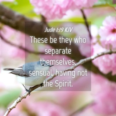 Picture 04 - Jude 1:19 KJV - These be they who separate themselves, sensual, - Bible Verse Picture