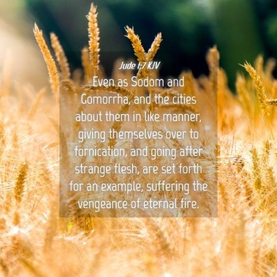 Picture 04 - Jude 1:7 KJV - Even as Sodom and Gomorrha, and the cities about - Bible Verse Picture
