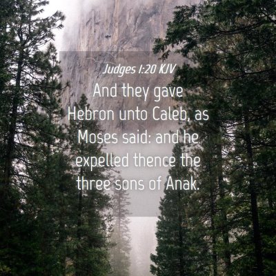 Picture 04 - Judges 1:20 KJV - And they gave Hebron unto Caleb, as Moses said: - Bible Verse Picture