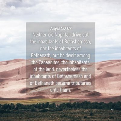 Picture 04 - Judges 1:33 KJV - Neither did Naphtali drive out the inhabitants of - Bible Verse Picture