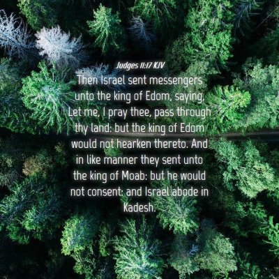 Picture 04 - Judges 11:17 KJV - Then Israel sent messengers unto the king of - Bible Verse Picture