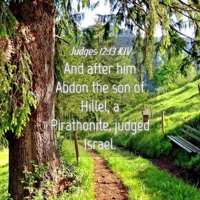 Picture 04 - Judges 12:13 KJV - And after him Abdon the son of Hillel, a - Bible Verse Picture