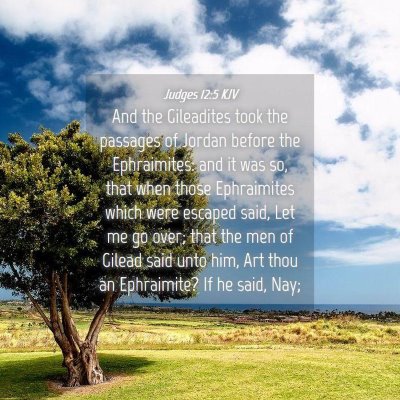 Picture 04 - Judges 12:5 KJV - And the Gileadites took the passages of Jordan - Bible Verse Picture