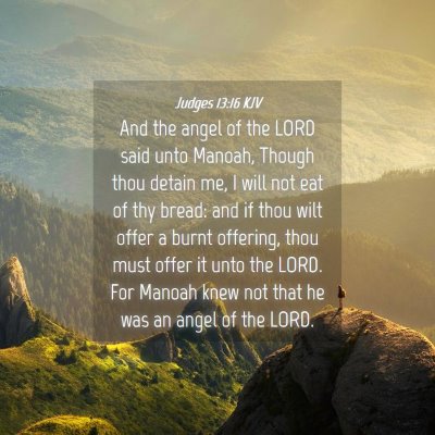 Picture 04 - Judges 13:16 KJV - And the angel of the LORD said unto Manoah, - Bible Verse Picture