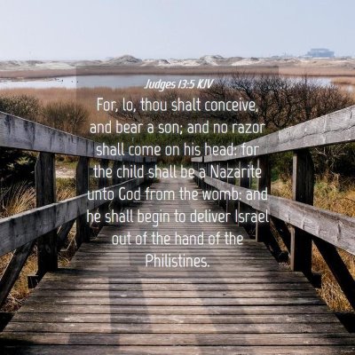 Picture 04 - Judges 13:5 KJV - For, lo, thou shalt conceive, and bear a son; and - Bible Verse Picture
