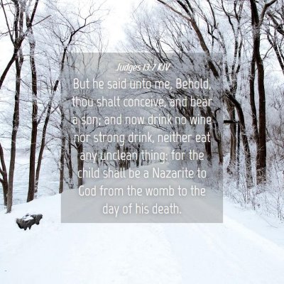 Picture 04 - Judges 13:7 KJV - But he said unto me, Behold, thou shalt conceive, - Bible Verse Picture
