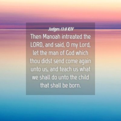 Picture 04 - Judges 13:8 KJV - Then Manoah intreated the LORD, and said, O my - Bible Verse Picture